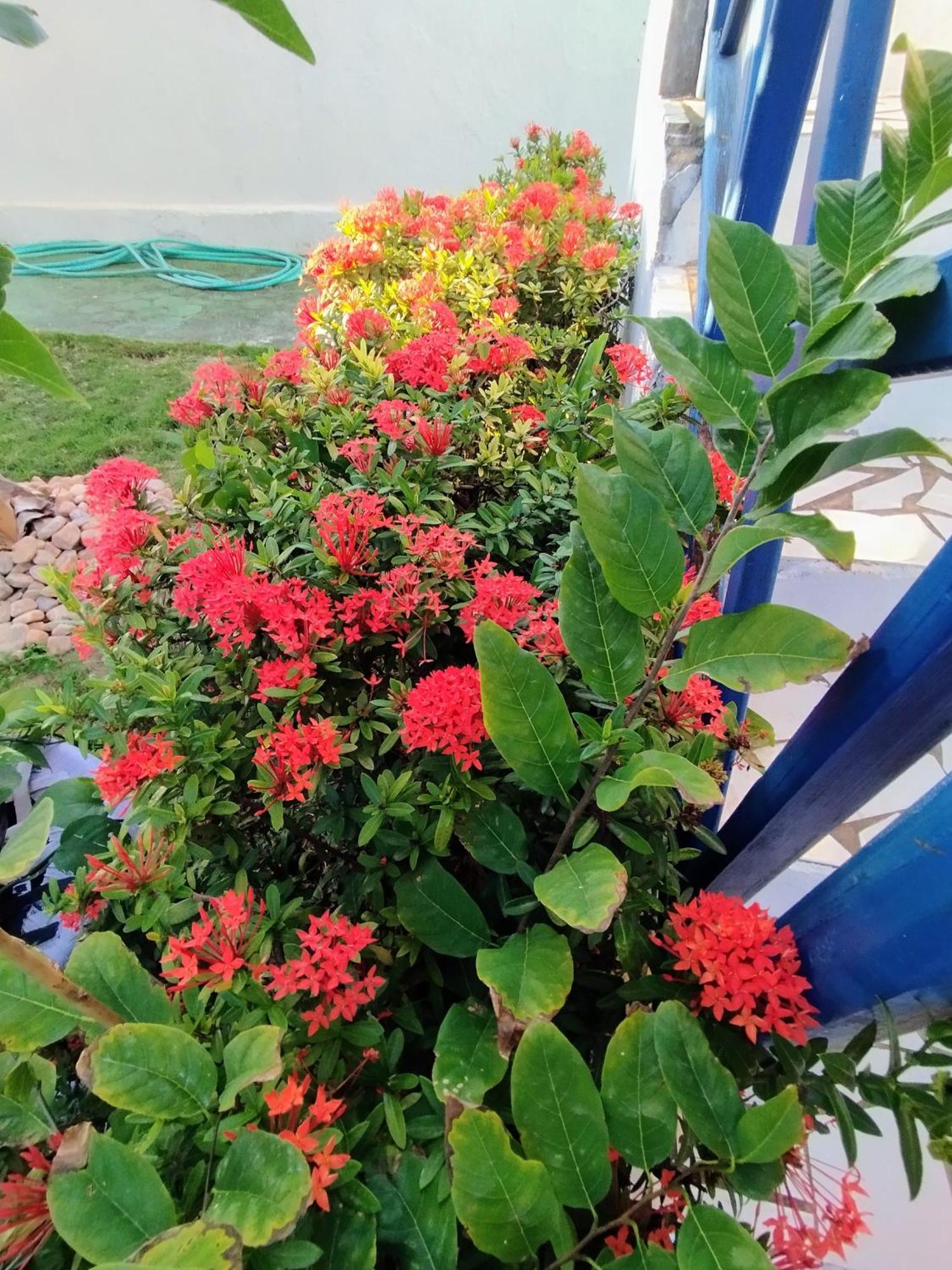 Casa Solaris Villa Aquiraz Eksteriør bilde